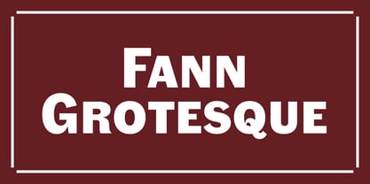 Fann Grotesque Font Poster 1